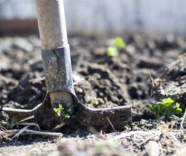 Augsburger Gartenbau GmbH Bild 6