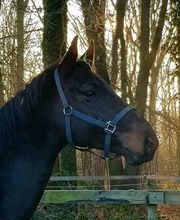 Ruitersportcentrum Seurenheide