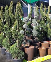Point Vert image 2