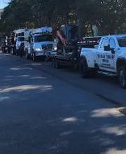 Hall's Tree Service image 20