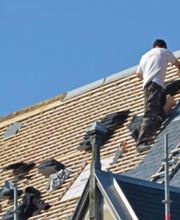 Stadelmann Couvreur image 6