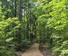 FriedWald Mainhardt Bild 2