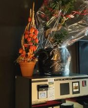 Ristorante Paganini Bild 11