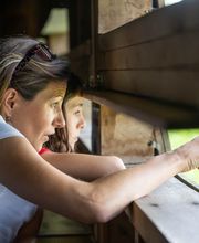 CITE DES OISEAUX image 2