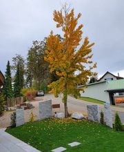 Hadorn Gartenbau Bild 11