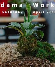 Dig It Gardens image 17