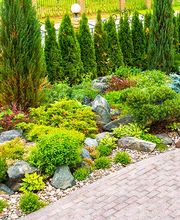 PIZZOLI DAMIEN PAYSAGISTE image 1