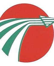 Il Recapito Espresso Pony Express a Roma immagine 1