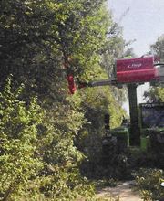 Garten- & Landschaftspflege Fa. Torsten Marks Bild 2