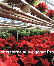 Blumen Chopard AG Bild 3