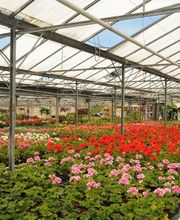 Loncle Erwan image 2