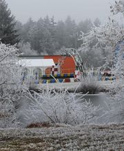 Dynamic Kart image 14