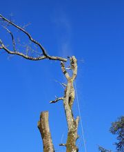 Bois Energie Limousin B.E.L. SARL image 4