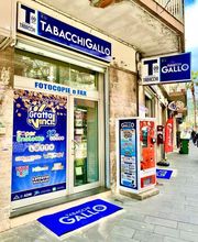 Gallery Cliente