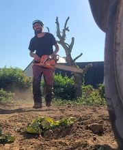 Baron Élagage image 3