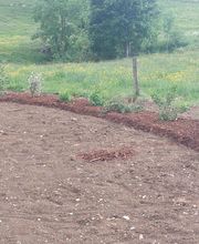 JD PRESTATIONS image 11