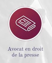 Le Roux Yann image 5