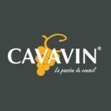 Cavavin