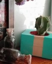 Floristería Manuela imagen 19