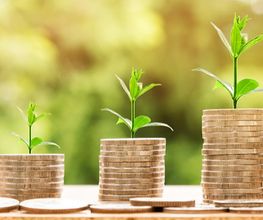 Kurrle Consulting & Accounting Bild 4