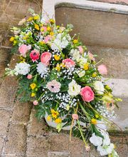 Pom'Violette image 10