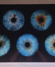 Iris Galerie image 19