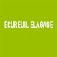 ECUREUIL ELAGAGE