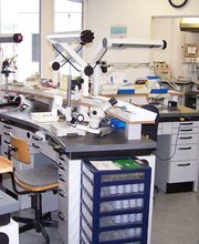 Zahntechnik Weber AG Bild 4