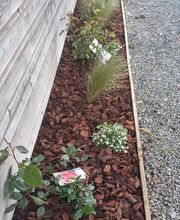 Manuel Boulanger image 5