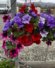 Les Jardins Du Champsaur image 3