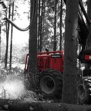 Entreprise forestière Daniel Ruch SA Bild 1