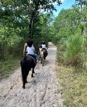 Eclair et Coquin image 10