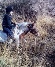 Equiloisirs image 10