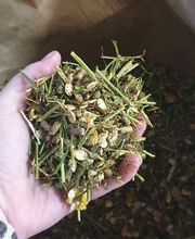 Animalia Seudre Nutrition image 12