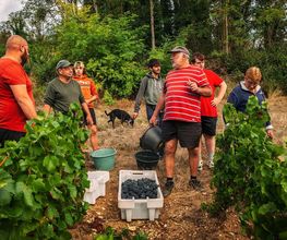Vignerons de la Colline Eternelle image 6