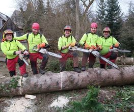 BAUMTEAM SCHALLWIG Bild 1