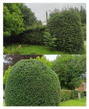 Quandalle Clément image 1