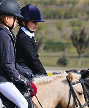 Le Bois D'ambre image 1