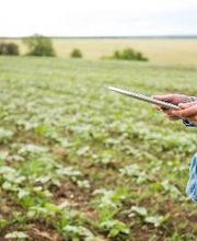 Agropalos S.L. | Suministros Agrícolas imagen 3
