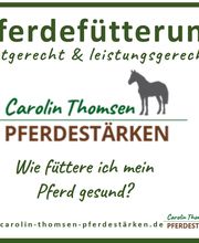 Carolin Thomsen Pferdestärken Bild 8