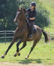 Les Ecuries du Mas image 2