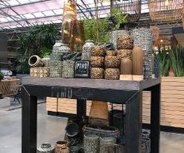 Intratuin Hendrik Ido Ambacht afbeelding 19