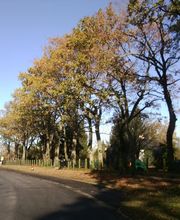 Instant Paysage image 6