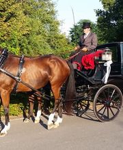 Stall Vogelsang Bild 5