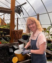 Toboggan Run Dental image 8