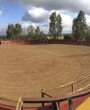 Picadero Escuela Las Cruces imagen 6