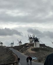 taximolinos-consuegra.jpg