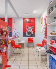 Clinique Vétérinaire Mon Véto Bourgtheroulde image 12