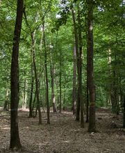 FriedWald Oberkrämer Bild 5