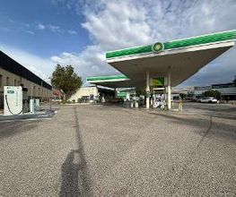 bp imagen 1